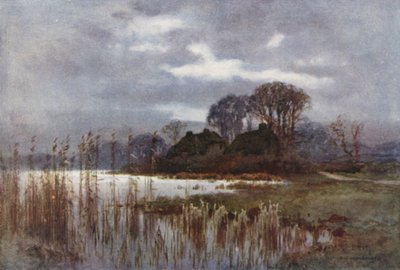 Mølledammen, Beaulieu (farve litho) af Ernest William Haslehust