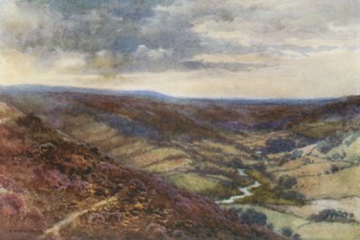 The Moors near Hackness (farve litho) af Ernest William Haslehust