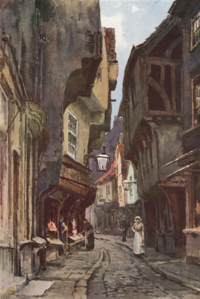 The Shambles (farve litho) af Ernest William Haslehust