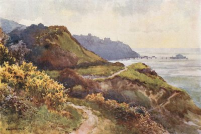Ventnor fra Steephill Walk (farve litho) af Ernest William Haslehust