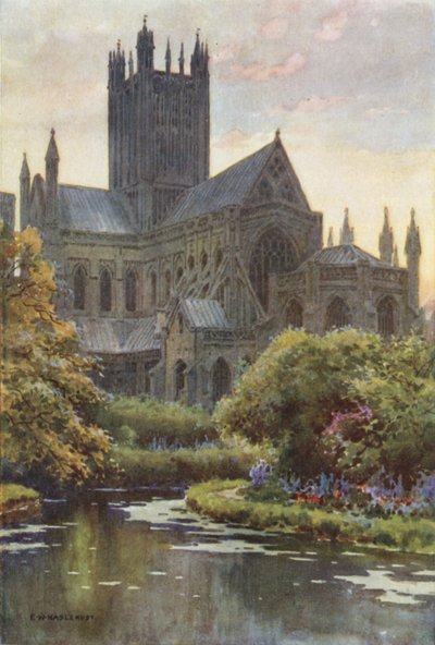 Wells Cathedral from the Springs (farve litho) af Ernest William Haslehust