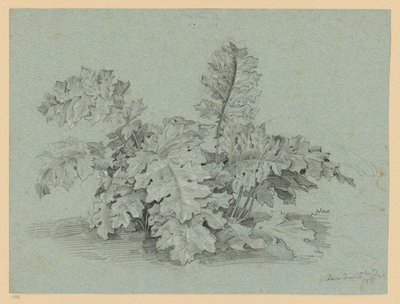 Akanthusplante af Ernst Fries