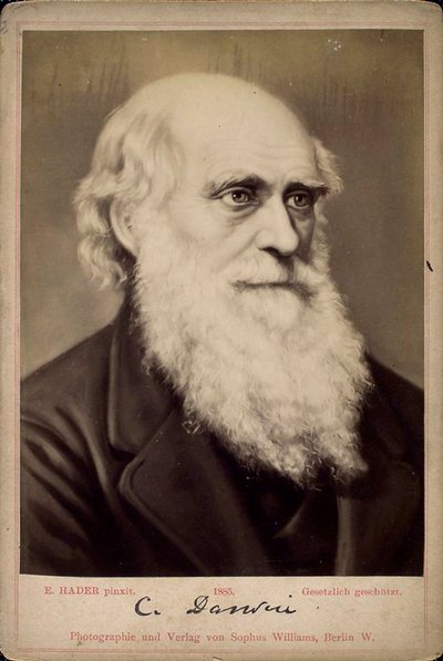 Charles Darwin, britisk naturforsker, c1860