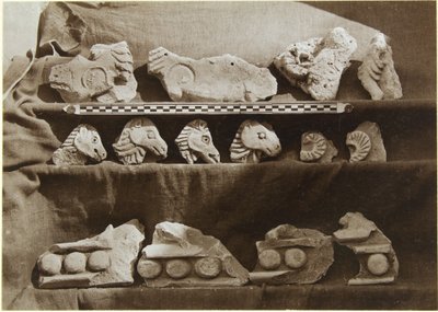 Udgravning af Samarra (Irak): Fragmenter af en frise med kamelfigurer, fra kalifens palads (Dar al-Khilafa, Jawsaq al-Khaqani, Bayt al-Khalifah), Lille Serdab, ca. 1911-13 (s/h) Foto) af Ernst Herzfeld