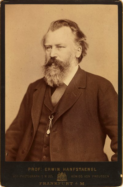 Portræt af komponisten Johannes Brahms 1833-1897, ca. 1870. af Erwin Hanfstaengl