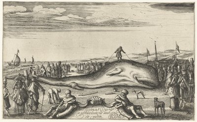 Strandet kaskelothval på stranden ved Noordwijk, 1614 af Esaias van de Velde