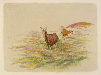 Geder på en mark af Esther Blaikie MacKinnon