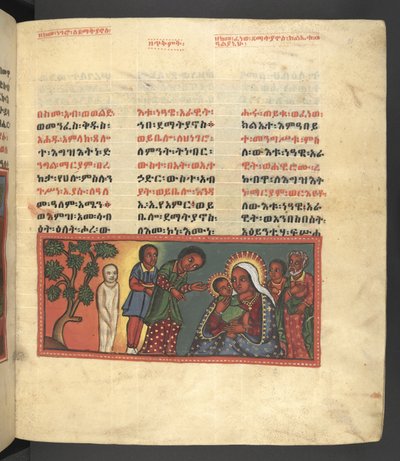 Eller. 607 f021r, Scene fra Jomfru Marias liv, fra 