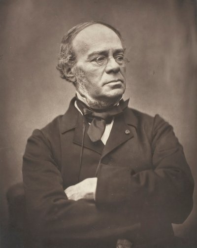 Halévy, ca. 1876. af Etienne Carjat