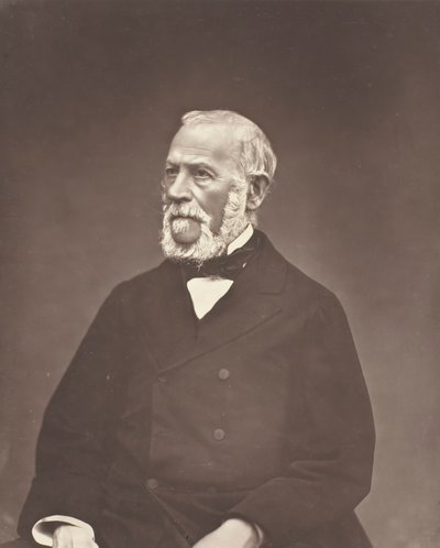 Henri Martin, ca. 1876. af Etienne Carjat