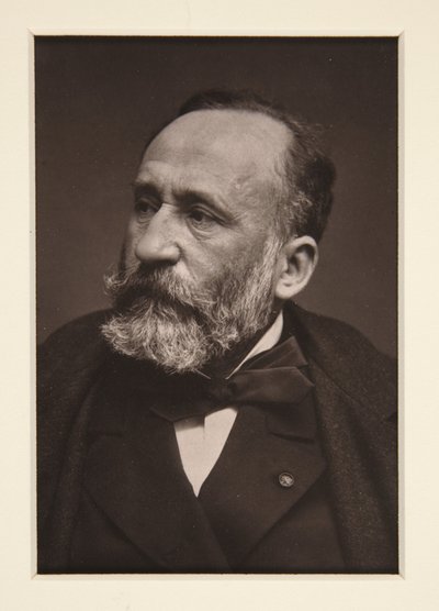 Portræt af Pierre Puvis de Chavannes (1824-1898) af Etienne Carjat