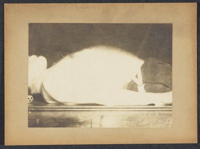 Marey i en undersøgelse af respiration af Etienne Jules Marey