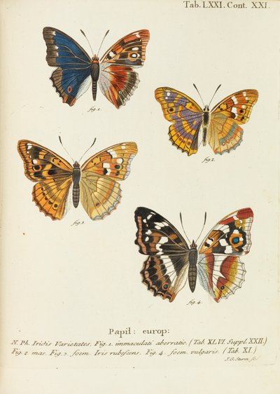 Sommerfuglene Sommerfuglene, 1777-1794. af Eugen Johann Christoph Esper