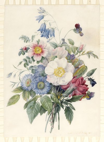 Blue Asters, Rosa Spinosissima Hybrid, Harebell, Violas, Cartnation and a Wild Rose, 1820 (wc & kropsfarve over grafitkontur på vellum) af Eugene A. L. d Orleans