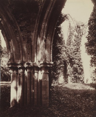 Dammarie-les-Lys, ruiner,1910 (foto) af Eugène Atget