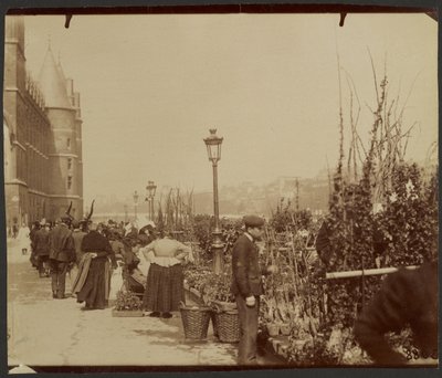 [Blomstermarkedet] af Eugène Atget