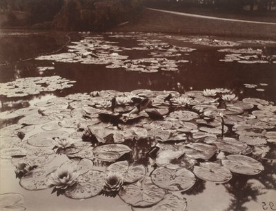 Åkander af Eugène Atget
