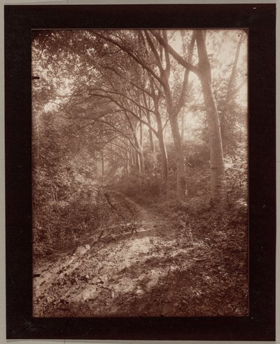  af Eugène Atget