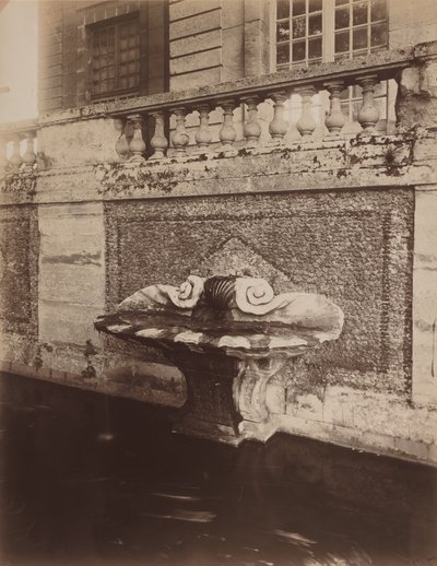 Parc de Sceaux, ca. 1857-1927 (foto) af Eugène Atget