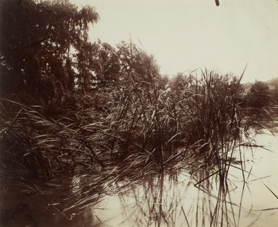  af Eugène Atget