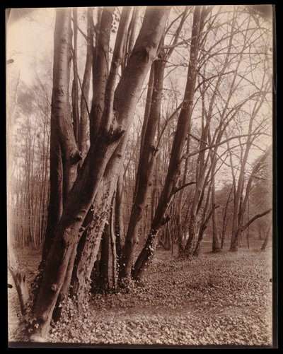 af Eugène Atget