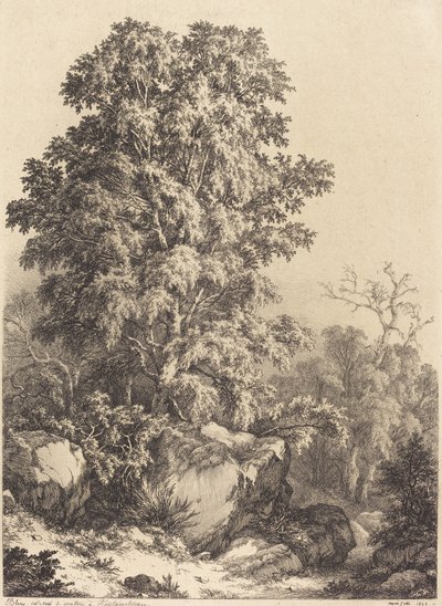 Beech Grove, 1840. af Eugene Bléry