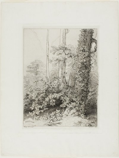 Bramble og Ivy af Eugene Bléry
