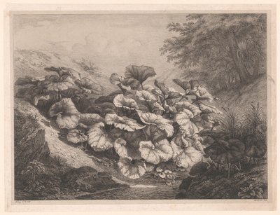 Groot hoefblad De store Coltsfoots Vier grote plante soorten (serietitel) De fire store planter (serietitel) af Eugene Bléry