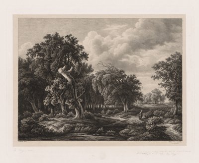 Grupper af forskellige planter tegnet efter naturen: nr. 7 af Eugene Bléry