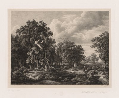 Grupper af forskellige planter tegnet efter naturen: nr. 7, 1855. af Eugene Bléry