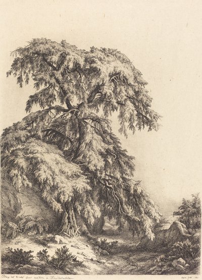 Enebærtræ af Eugene Bléry