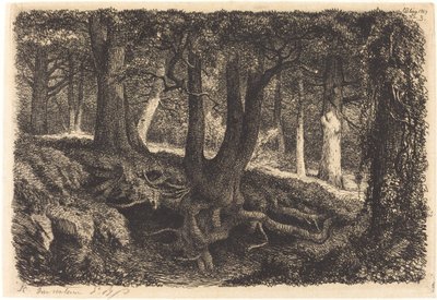 Træet med røddertræet med rødder, der blev offentliggjort 1849. af Eugene Bléry