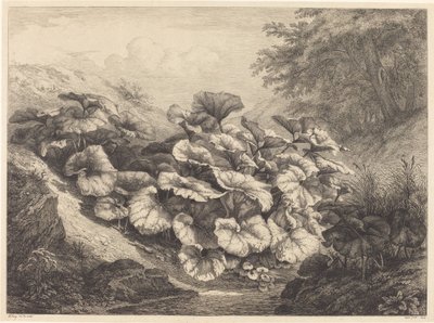 Stor følfod af Eugene Bléry