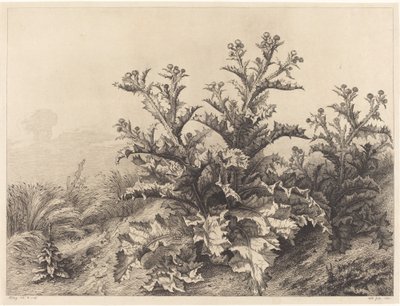 Stor tistel, 1843. af Eugene Bléry
