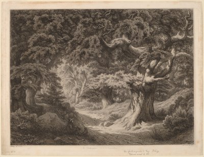 Charlemagne-skoven i Fontainebleau, 1861. af Eugene Bléry