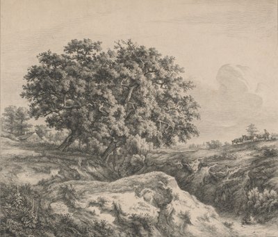 Egetræ ved en kløft, 1845. af Eugene Bléry