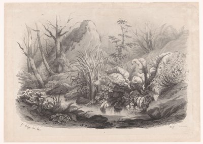 Oeverplanten ved en beek Diverse planter (serietitel) Grupper af forskellige planter tegnet på naturen og litograferet (serietitel) af Eugene Bléry