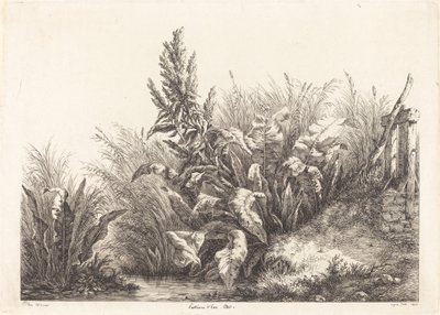 Vandtålmodighed, undersøgelse (studie af en tålmodighedsdok) af Eugene Bléry