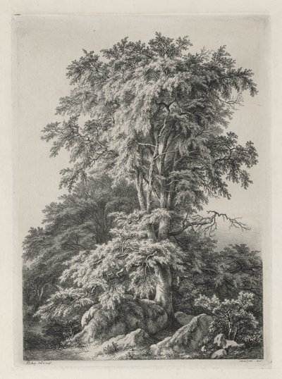 Studier tegnet og indgraveret efter naturen: Stranden, Fontainbleau..., 1840. af Eugene Bléry