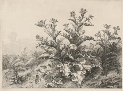 Den store tidsel (Le Grand Chardon) af Eugene Bléry