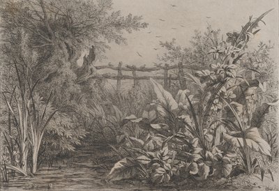 Dammen, 1857. af Eugene Bléry