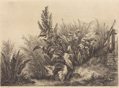 Vanddok af Eugene Bléry