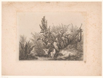 Waterzuring en riet aan de oever Vand tålmodighed ved den lille ventil Studier tegnet og indgraveret fra naturen (...) (serietitel) af Eugene Bléry