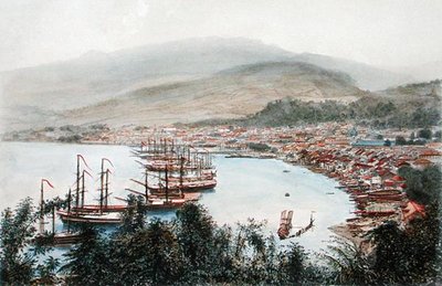 Udsigt over Saint-Pierre set fra pistolbatteriet ved Sainte-Marthe, Martinique (farvelitografi) af Eugene Ciceri
