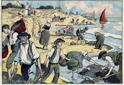Indbyggerne på Thouais kystlinje høster muslinger. Kernevel, Finistere (29), Bretagne. Illustration af Damblans. I "" Le Pelerin"" af 31. august af Eugene Damblans