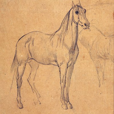 Studie af en hest af Eugène Fromentin