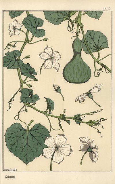 Botanisk illustration af græskar af Eugene Grasset