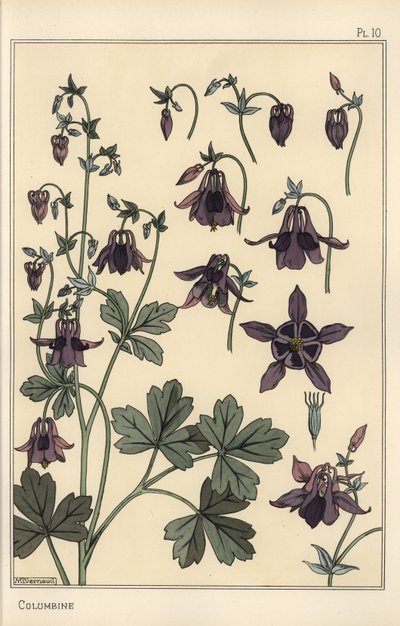 Akeleje, Aquilegia vulgaris, blomsterdele af Eugene Grasset