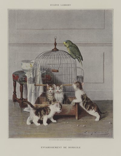 Hjem invasion af Eugene Lambert