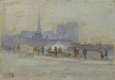 Notre-Dame, udsigt fra Quai de l